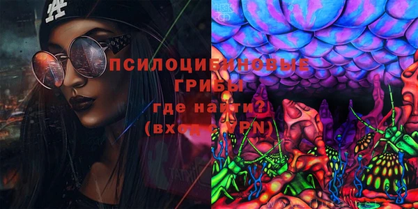 амф Абинск