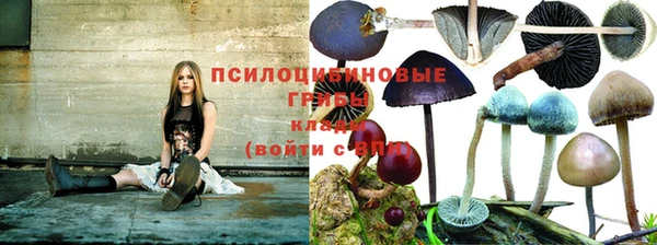 амф Абинск